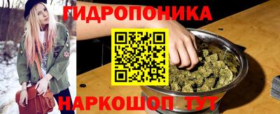 индика Донецк