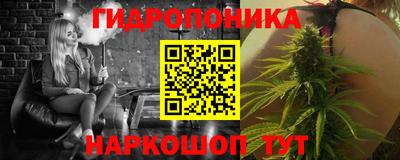 крисы Донской