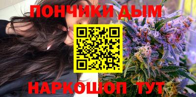 крисы Донской