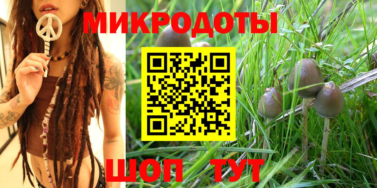 Минеральные Воды  Галлюциногенные грибы Psilocybine cubensis  Вход с VPN 